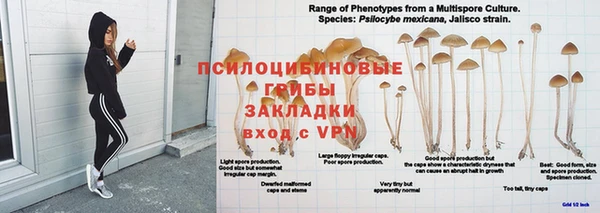 герыч Струнино