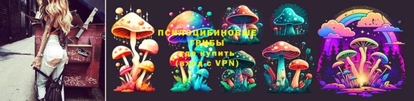 СК Строитель