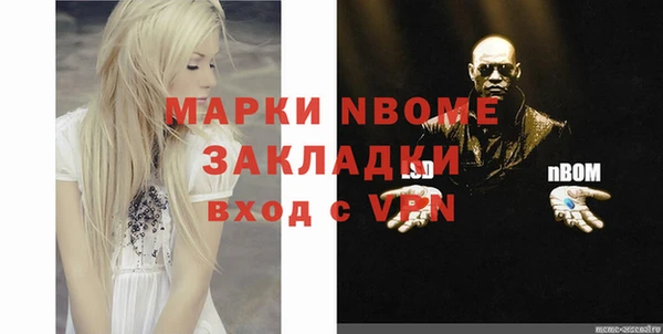прущие грибы Ступино