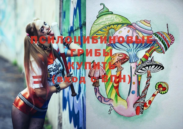 прущие грибы Ступино