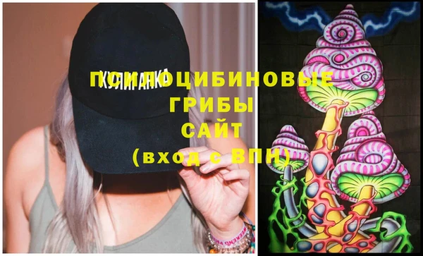 прущие грибы Ступино