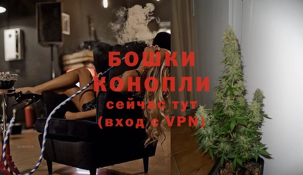 СК Строитель