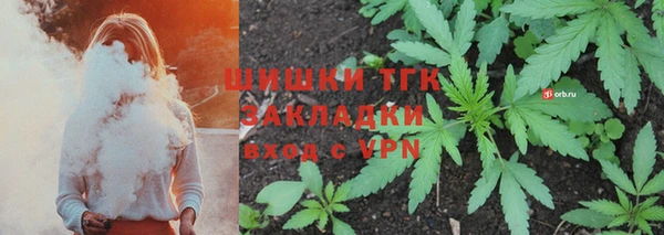 прущие грибы Ступино