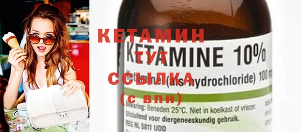прущие грибы Ступино
