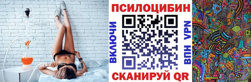 Псилоцибиновые грибы Psilocybine cubensis  Купить где  Заринск 