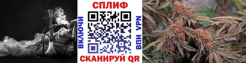 Бошки Шишки Amnesia Купить Заринск